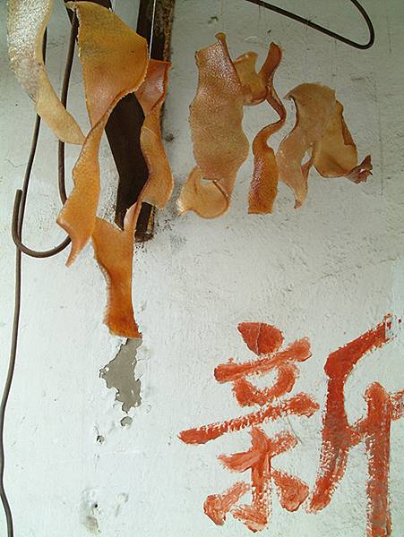 中國‧南京‧一些舊照(Nanjing Memory) 中國‧南京‧一些舊照(Nanjing Memory)