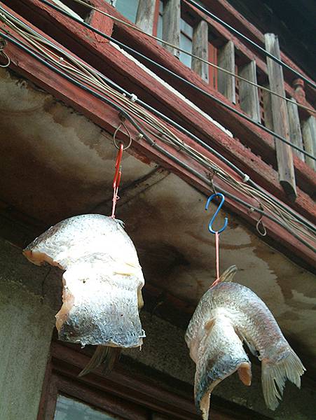 中國‧南京‧一些舊照(Nanjing Memory) 中國‧南京‧一些舊照(Nanjing Memory)