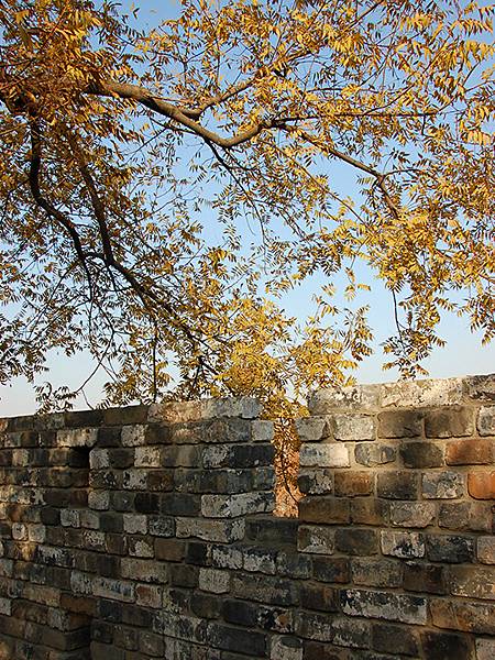 中國‧南京‧一些舊照(Nanjing Memory) 中國‧南京‧一些舊照(Nanjing Memory)