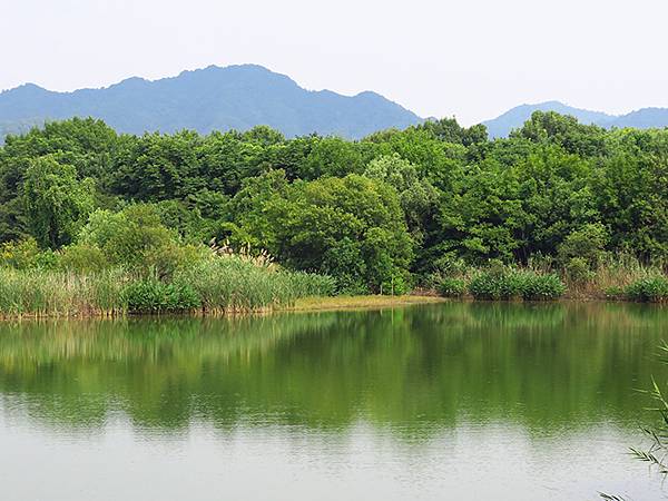 中國解封遊‧杭州(一)‧西溪溼地(Xixi Wetland) 中國解封遊‧杭州(一)‧西溪溼地(Xixi Wetland)