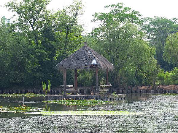 中國解封遊‧杭州(一)‧西溪溼地(Xixi Wetland) 中國解封遊‧杭州(一)‧西溪溼地(Xixi Wetland)