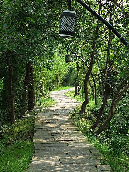 中國解封遊‧杭州(一)‧西溪溼地(Xixi Wetland) 中國解封遊‧杭州(一)‧西溪溼地(Xixi Wetland)