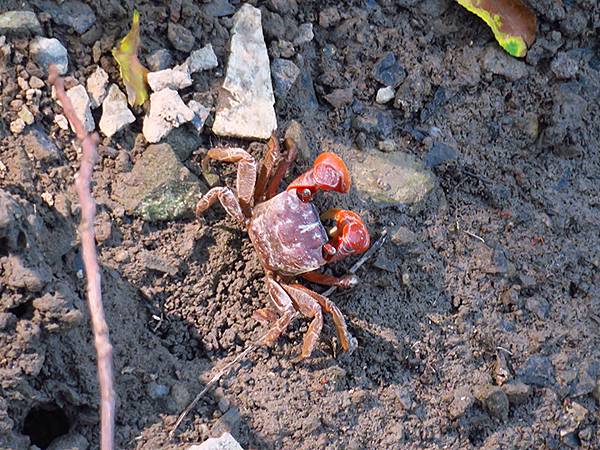 中國解封遊‧杭州(一)‧西溪溼地(Xixi Wetland) 中國解封遊‧杭州(一)‧西溪溼地(Xixi Wetland)