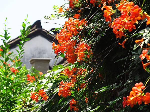 中國解封遊‧杭州(三)‧拱宸橋和工藝博物館(Hangzhou