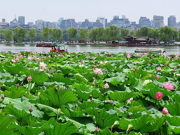 中國解封遊‧杭州(八)‧西湖(West Lake)