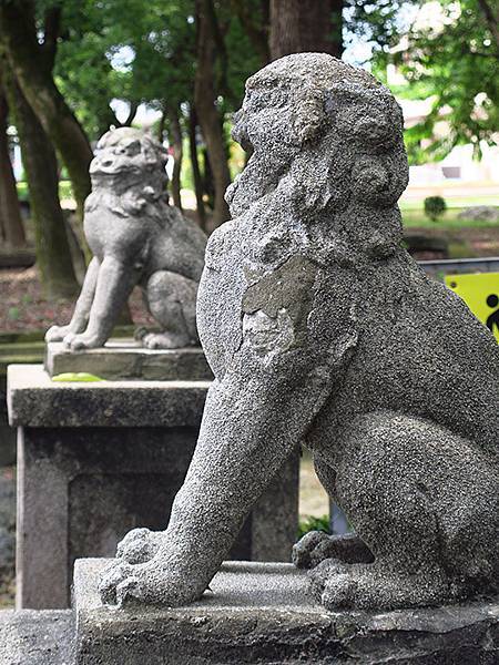 台灣‧台南(五十八)‧善化(Shanhua)