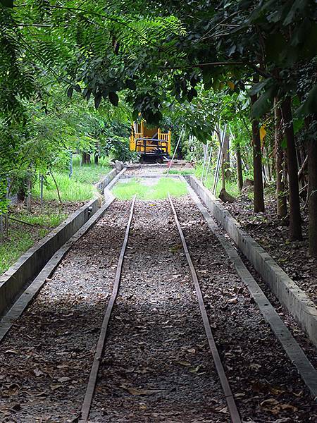 台灣‧台南(五十八)‧善化(Shanhua)