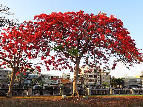 台灣‧台南(六十二)‧五月騎行(Tainan Biking)