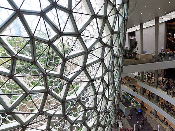 中國解封遊‧上海閒逛(十)‧自然博物館(Shanghai N 中國解封遊‧上海閒逛(十)‧自然博物館(Shanghai N