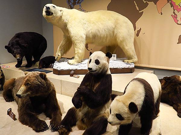 中國解封遊‧上海閒逛(十)‧自然博物館(Shanghai N 中國解封遊‧上海閒逛(十)‧自然博物館(Shanghai N