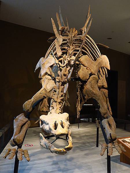 中國解封遊‧上海閒逛(十)‧自然博物館(Shanghai N 中國解封遊‧上海閒逛(十)‧自然博物館(Shanghai N