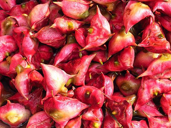 中國解封遊‧蘇州(九)‧葑門橫街、石皮弄等(Suzhou C 中國解封遊‧蘇州(九)‧葑門橫街、石皮弄等(Suzhou C