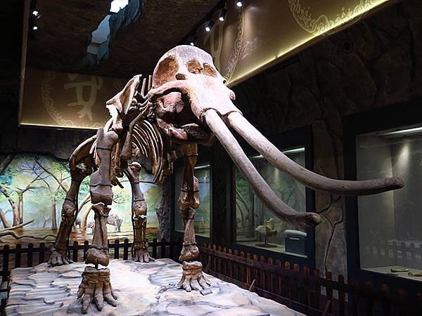 中國‧三峽(四)‧奉節(中)‧白帝城(Fengjie II) 中國‧三峽(四)‧奉節(中)‧白帝城(Fengjie II)