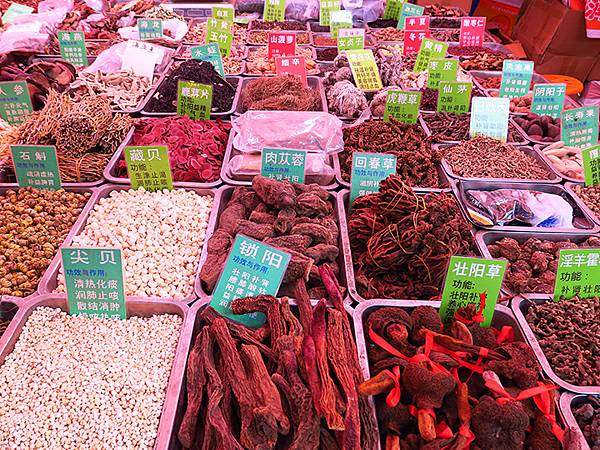 中國‧三峽(五)‧奉節(下)‧城區和博物館(Fengjie 中國‧三峽(五)‧奉節(下)‧城區和博物館(Fengjie