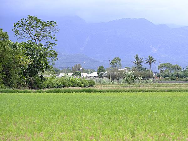 台灣‧花蓮(四)‧玉里(Yuli)