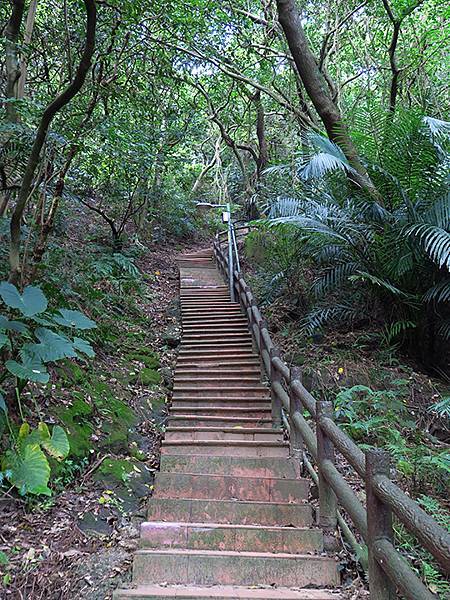 台灣‧新北‧鶯歌、龜山健行(Yingge Hiking)