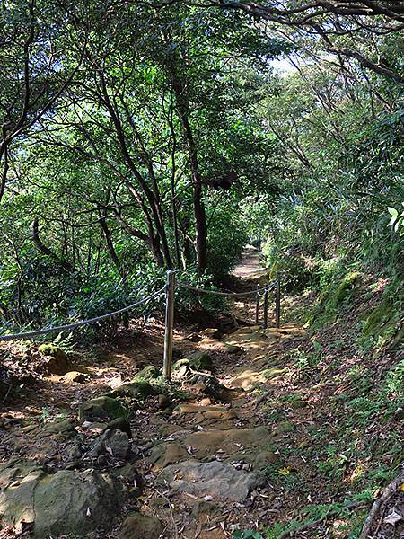 台灣‧新北‧鶯歌、龜山健行(Yingge Hiking)