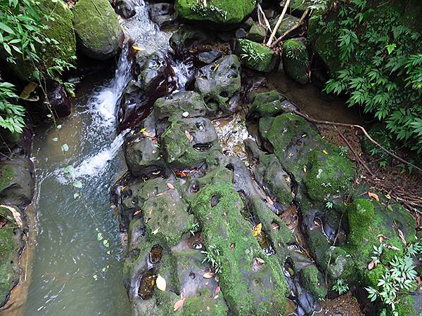 台灣‧台北‧銀河洞、紫南宮越嶺(Muzha Hiking)