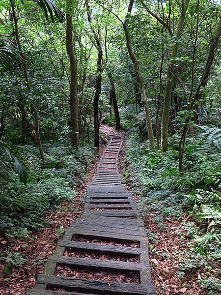 台灣‧台北‧銀河洞、紫南宮越嶺(Muzha Hiking)