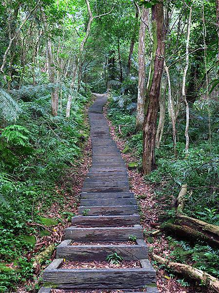 台灣‧台北‧銀河洞、紫南宮越嶺(Muzha Hiking)