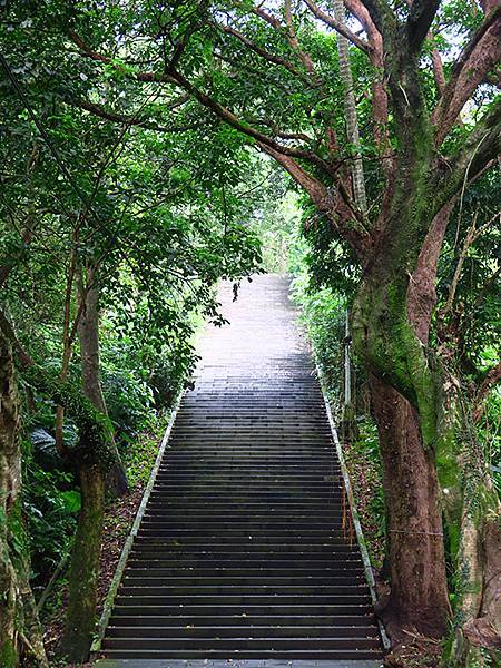 台灣‧台北‧銀河洞、紫南宮越嶺(Muzha Hiking)