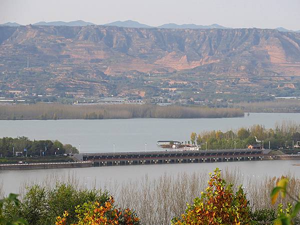 中國‧河南‧三門峽(一)‧天鵝(Sanmenxia I) 中國‧河南‧三門峽(一)‧天鵝(Sanmenxia I)