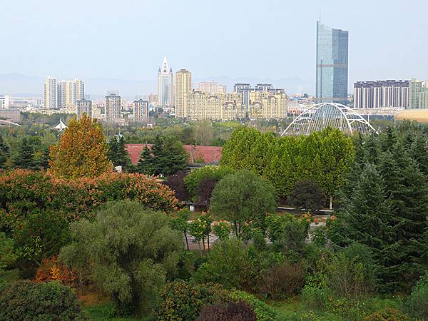 中國‧河南‧三門峽(一)‧天鵝(Sanmenxia I) 中國‧河南‧三門峽(一)‧天鵝(Sanmenxia I)