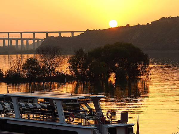 中國‧河南‧三門峽(一)‧天鵝(Sanmenxia I) 中國‧河南‧三門峽(一)‧天鵝(Sanmenxia I)