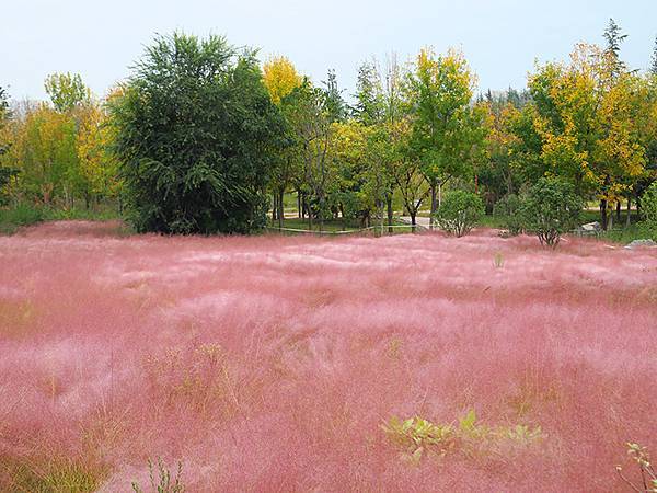 中國‧河南‧三門峽(二)‧廟底溝博物館(Sanmenxia 中國‧河南‧三門峽(二)‧廟底溝博物館(Sanmenxia