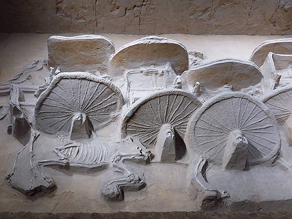 中國‧河南‧三門峽(三)‧虢國博物館(Sanmenxia I