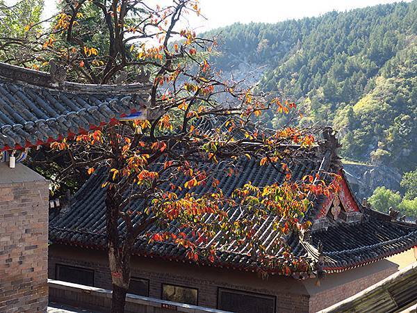 中國‧河南‧洛陽(二)‧香山寺、白園、關林(Luoyang 