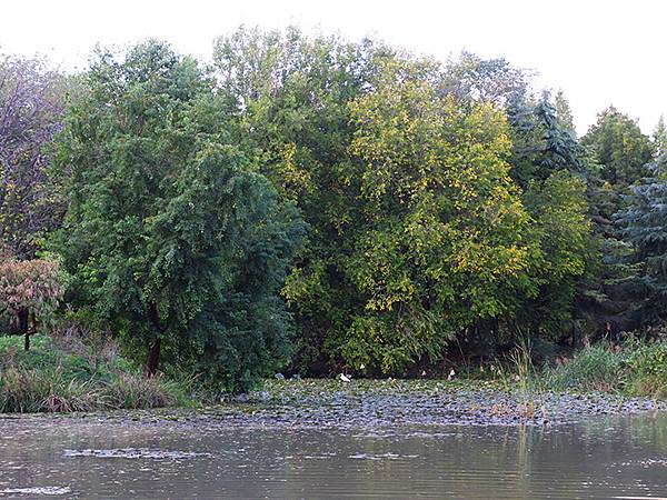 中國‧河南‧洛陽(五)‧隋唐城遺址植物園和十字街(Luoya