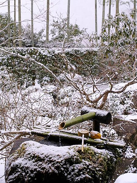 關西賞雪(五)‧大原(下)‧寶泉院和其他(Kansai Sn