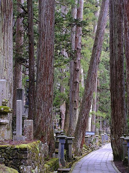 關西賞雪(六)‧高野山(上)‧寺院(Kansai Snow 