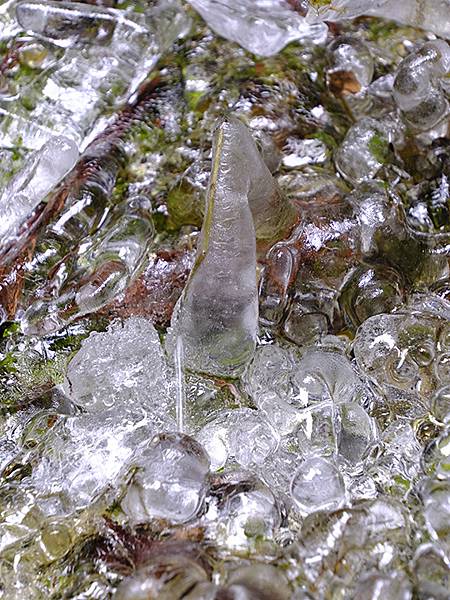 關西賞雪(六)‧高野山(上)‧寺院(Kansai Snow 