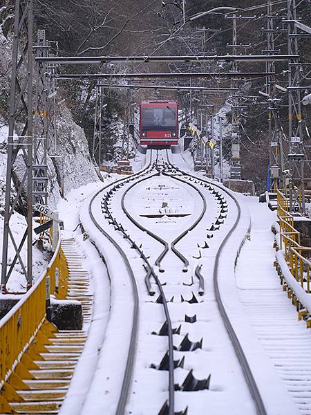 關西賞雪(七)‧高野山(下)‧大雪(Kansai Snow 