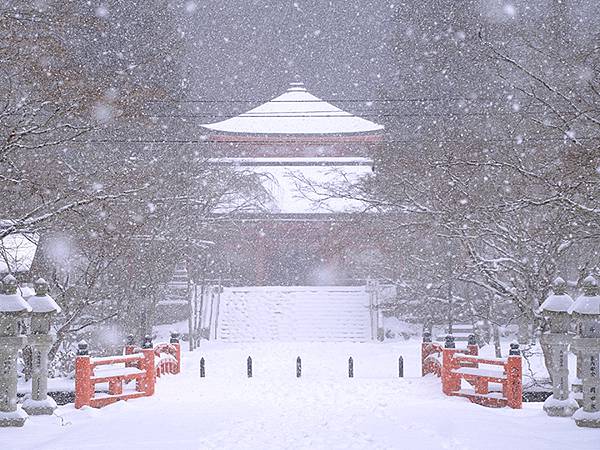 關西賞雪(七)‧高野山(下)‧大雪(Kansai Snow 