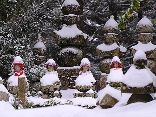 關西賞雪(七)‧高野山(下)‧大雪(Kansai Snow 