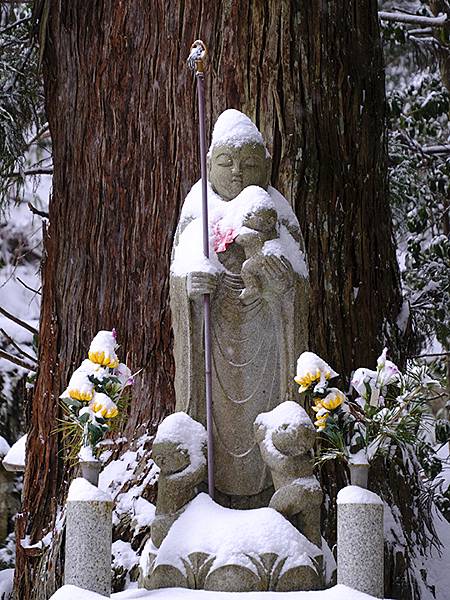 關西賞雪(七)‧高野山(下)‧大雪(Kansai Snow 