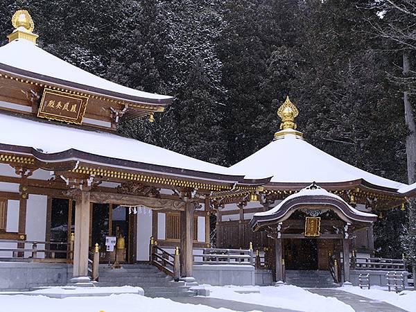 關西賞雪(七)‧高野山(下)‧大雪(Kansai Snow 