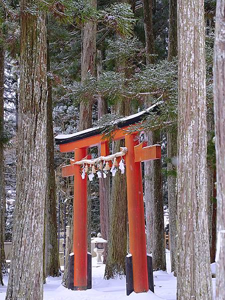 關西賞雪(七)‧高野山(下)‧大雪(Kansai Snow 