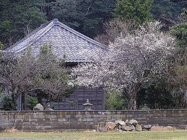 日本‧福井(十二)‧小浜 (Fukui XII)