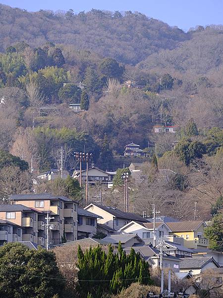 元月關西(一)‧生駒山(Ikoma Mt.)