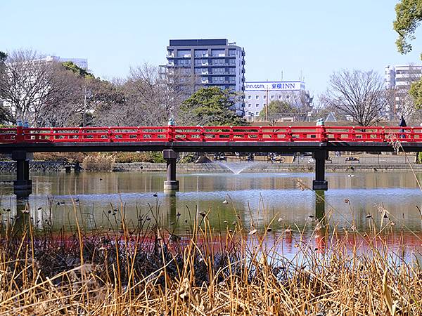 元月關西(二)‧大阪南港野鳥園(Osaka Nankou B