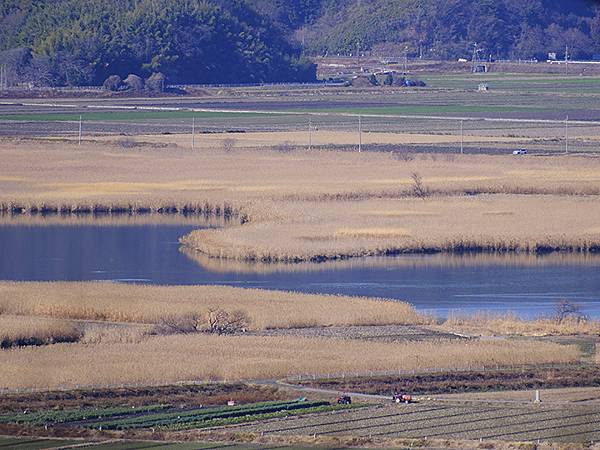 元月關西(五)‧安土城(Azuchi Castle)