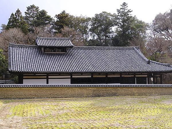 元月關西(九)‧奈良、宇治賞鳥(Nara & Uji)