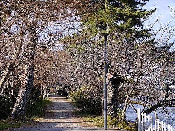 元月關西(九)‧奈良、宇治賞鳥(Nara & Uji)