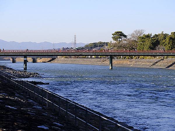 元月關西(九)‧奈良、宇治賞鳥(Nara & Uji)