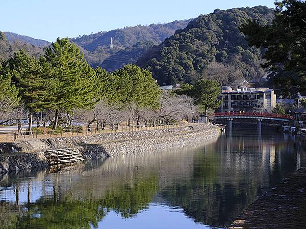 元月關西(九)‧奈良、宇治賞鳥(Nara & Uji)