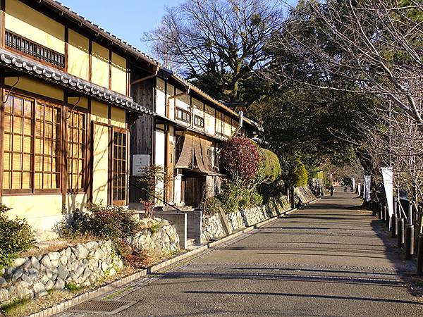元月關西(九)‧奈良、宇治賞鳥(Nara & Uji)